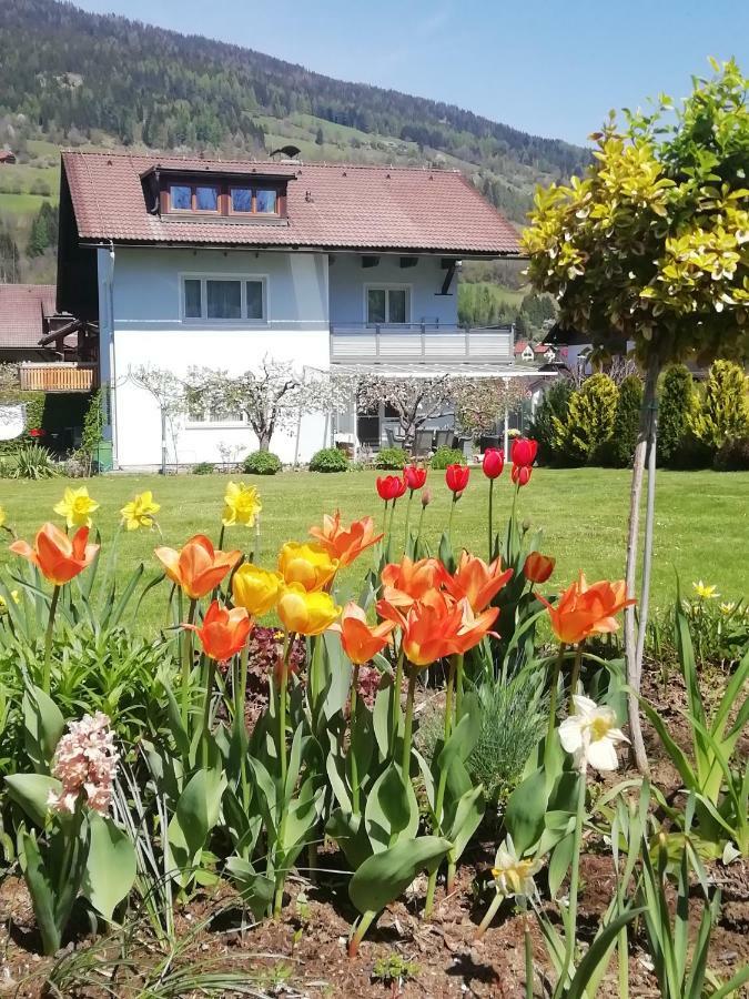 Pension Strauss Sankt Lorenzen ob Murau Exteriér fotografie